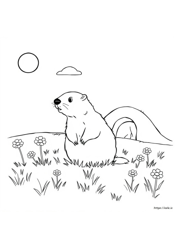 Groundhog Coloring Page Free Printable