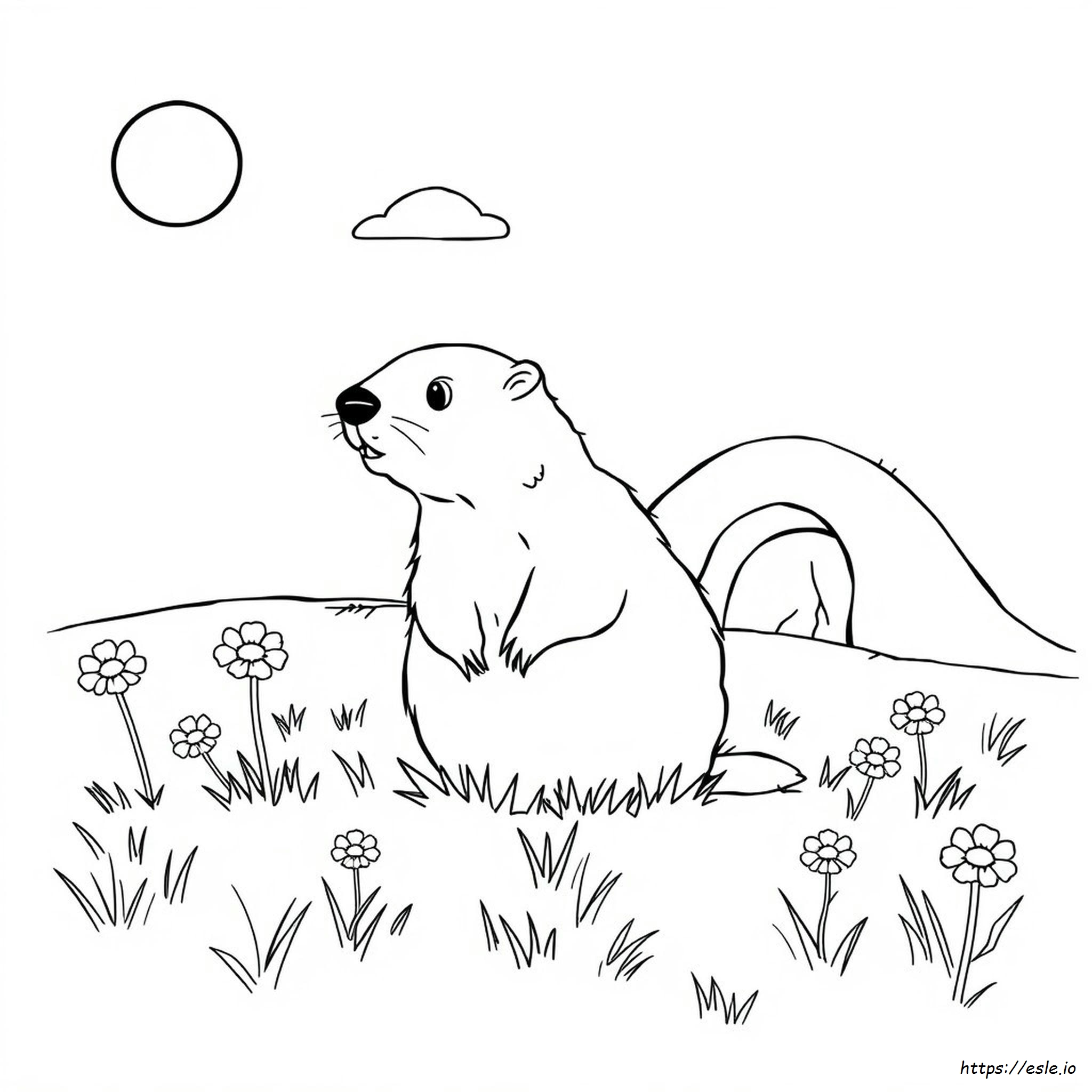 Groundhog Coloring Page Free Printable