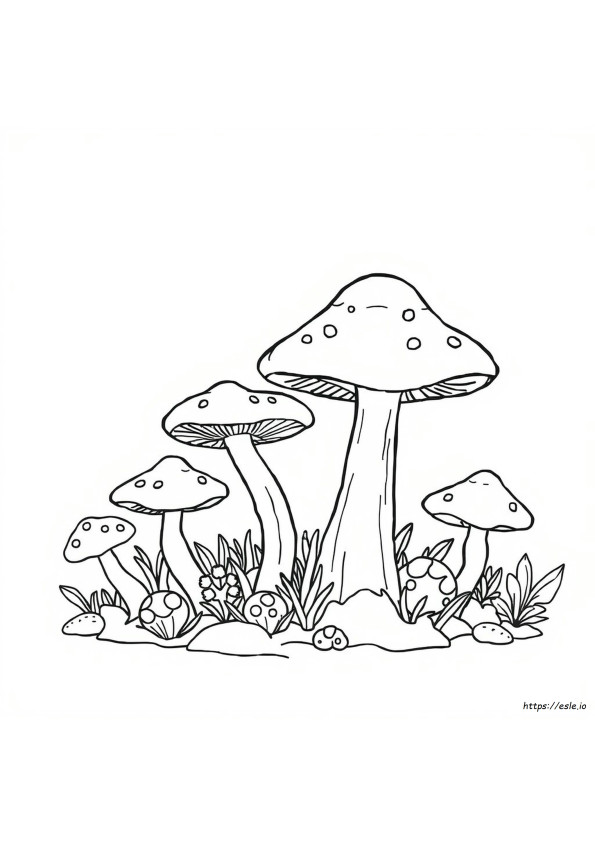 What Color Is Fungus
