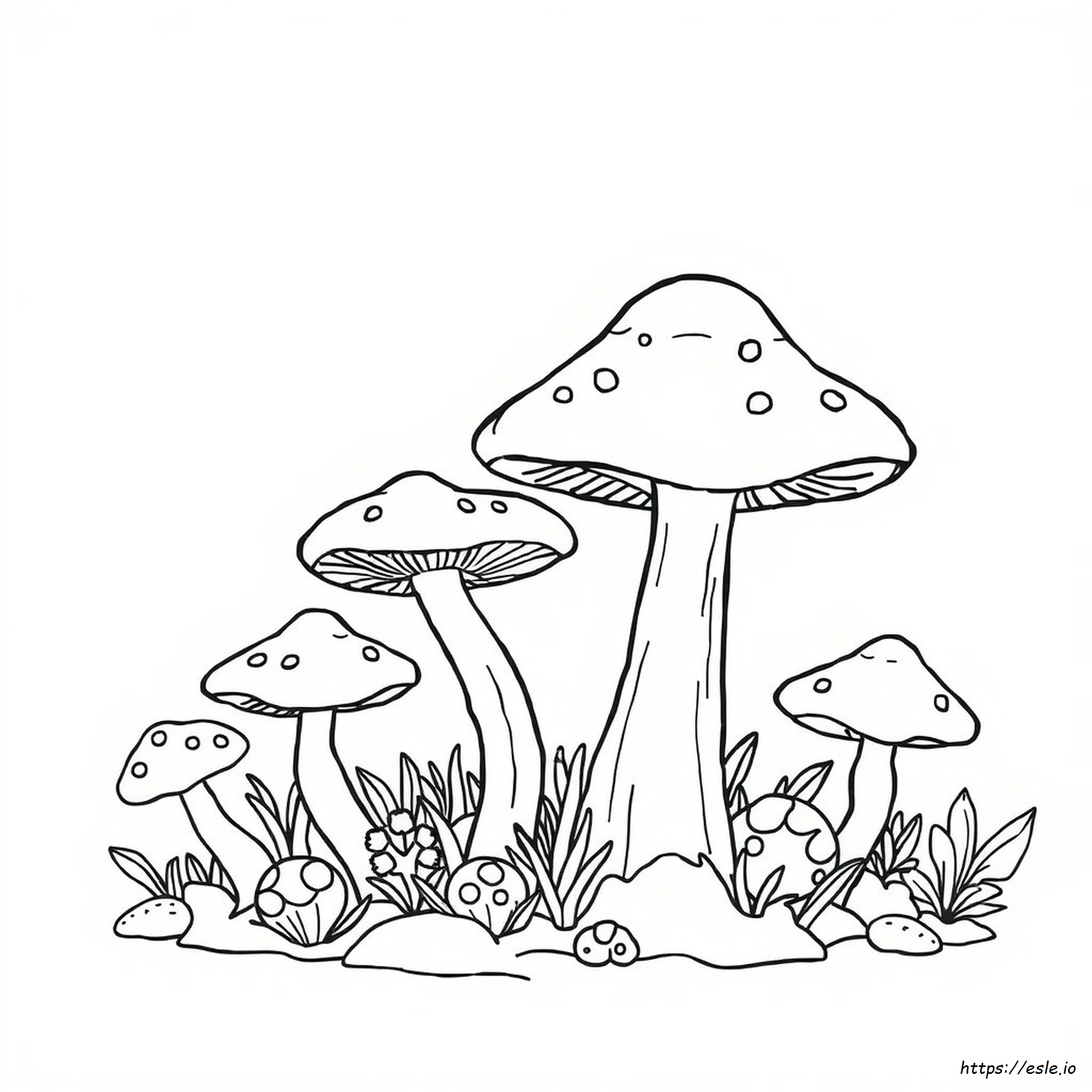 What Color Is Fungus