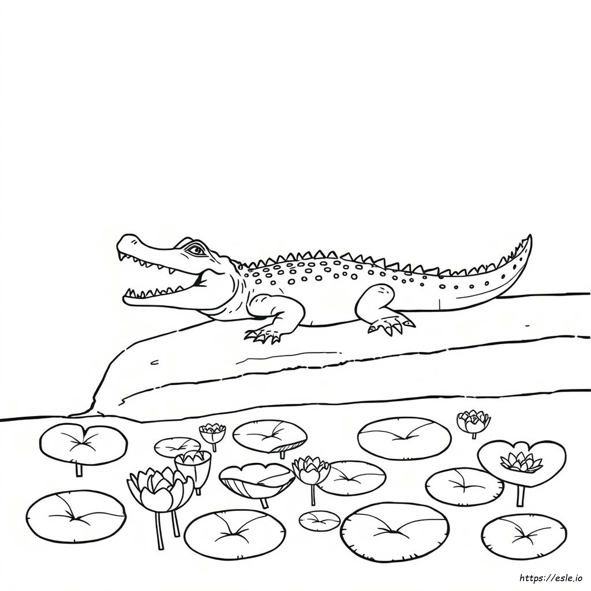 Crocodile Coloring Images