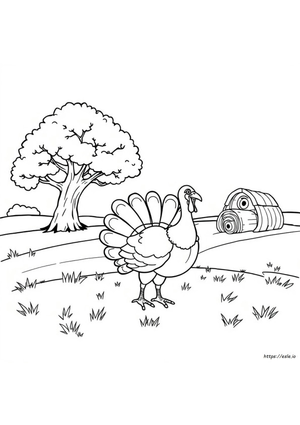 Free Turkey Coloring