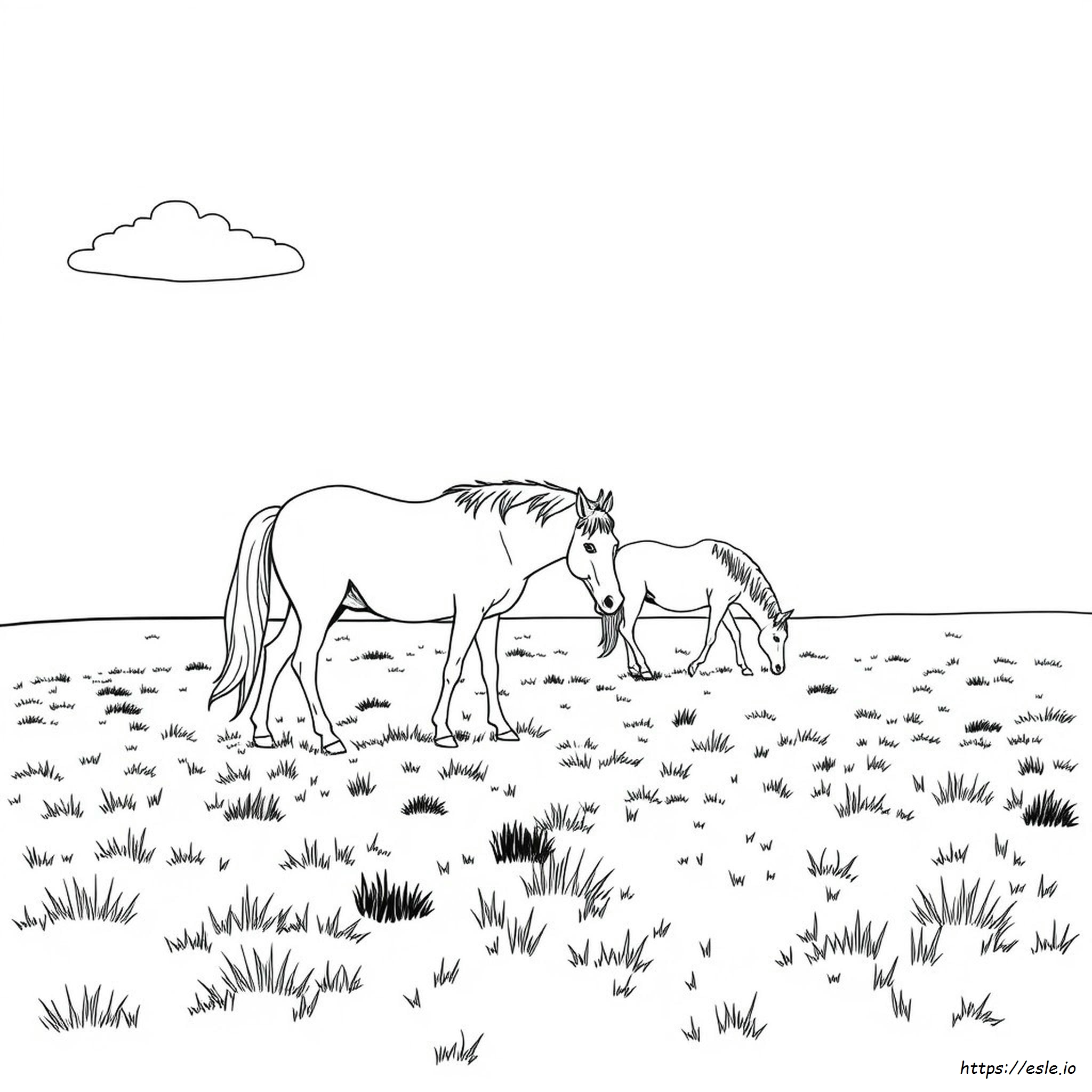 Coloring Pages Horses For Adults