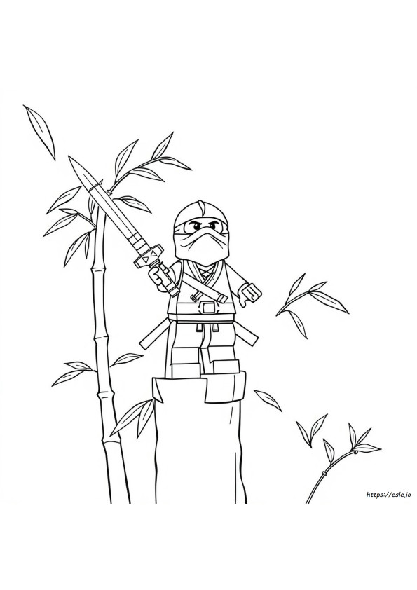 Imagini De Colorat Cu Ninja