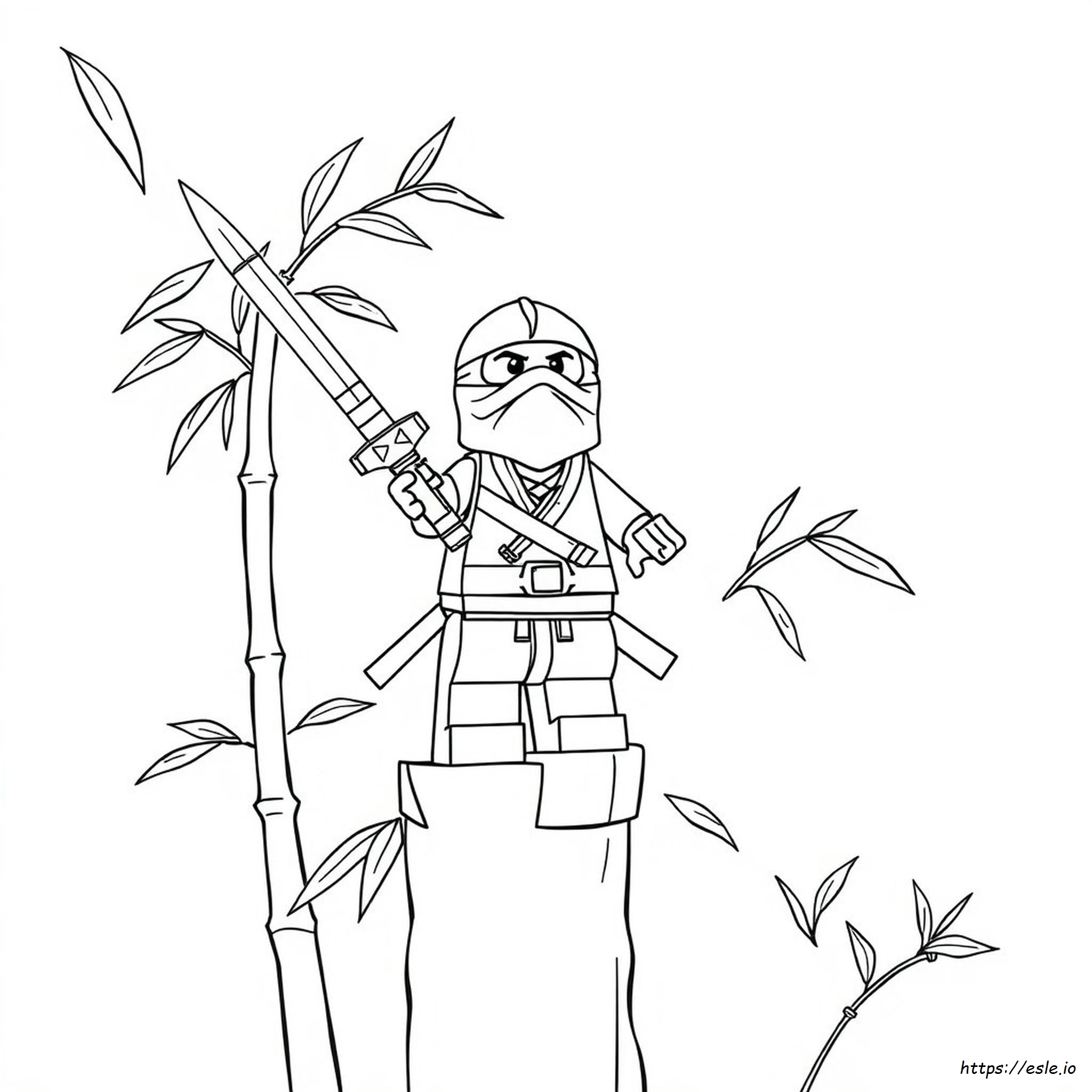 Ninja Colouring Pictures
