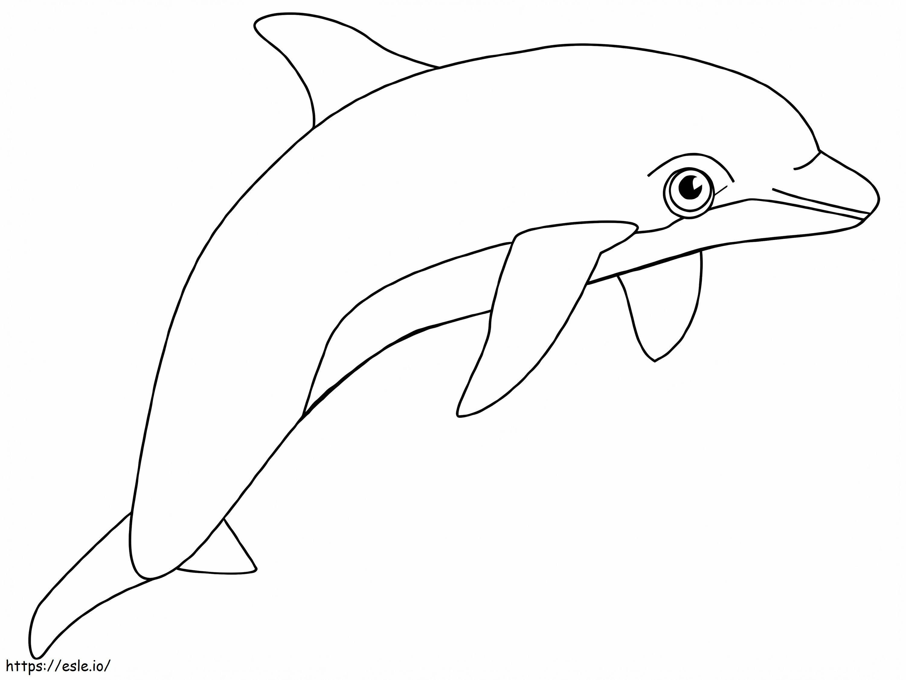 Cute Dolphin coloring page