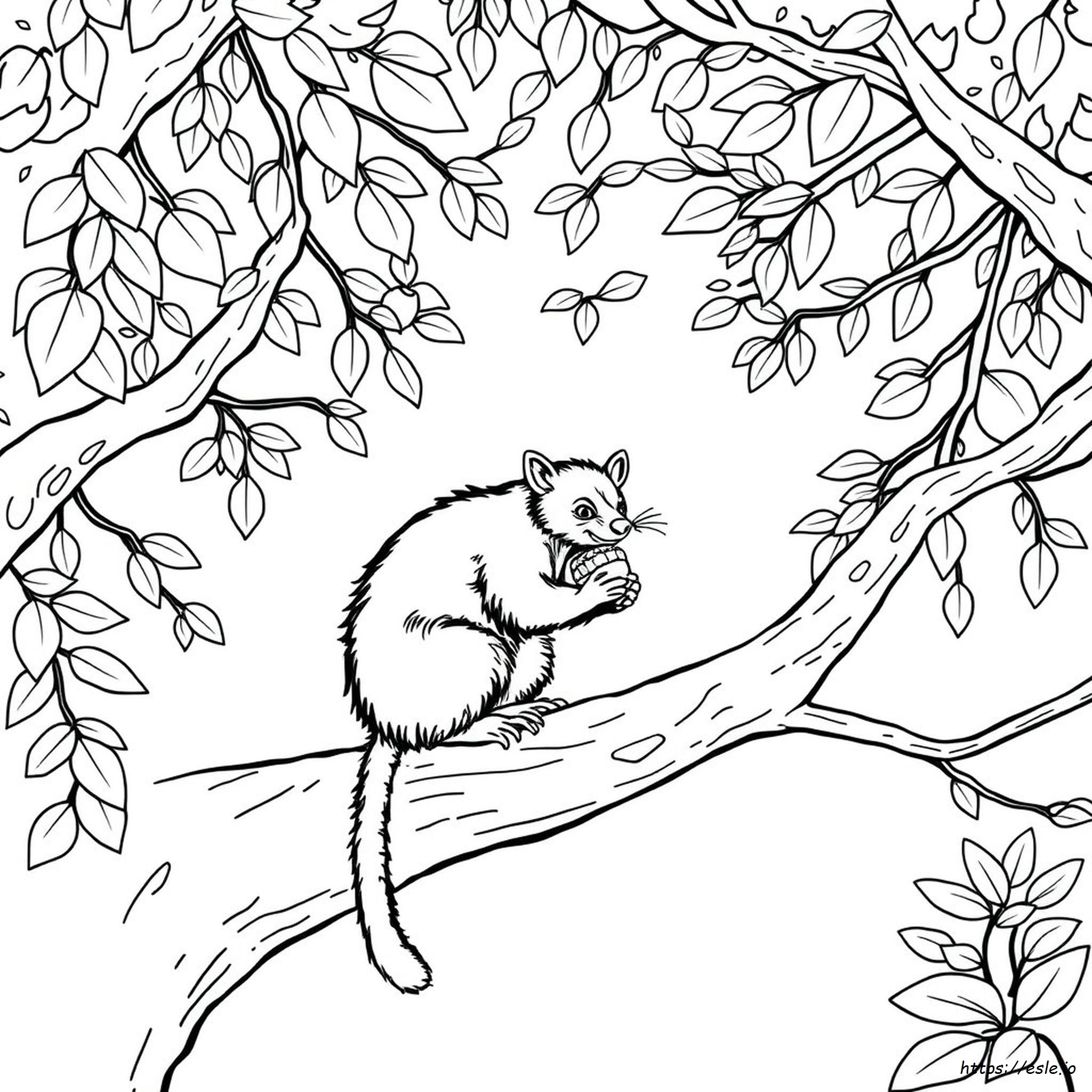 Coloriage Diable De Tasmanie