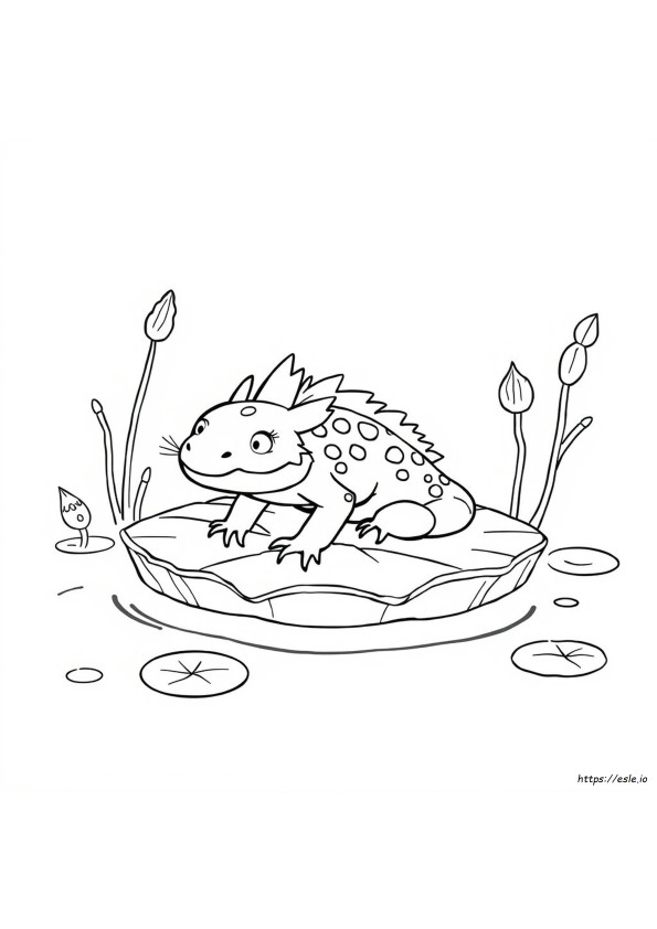 Axolotl Da Colorare Da Stampare