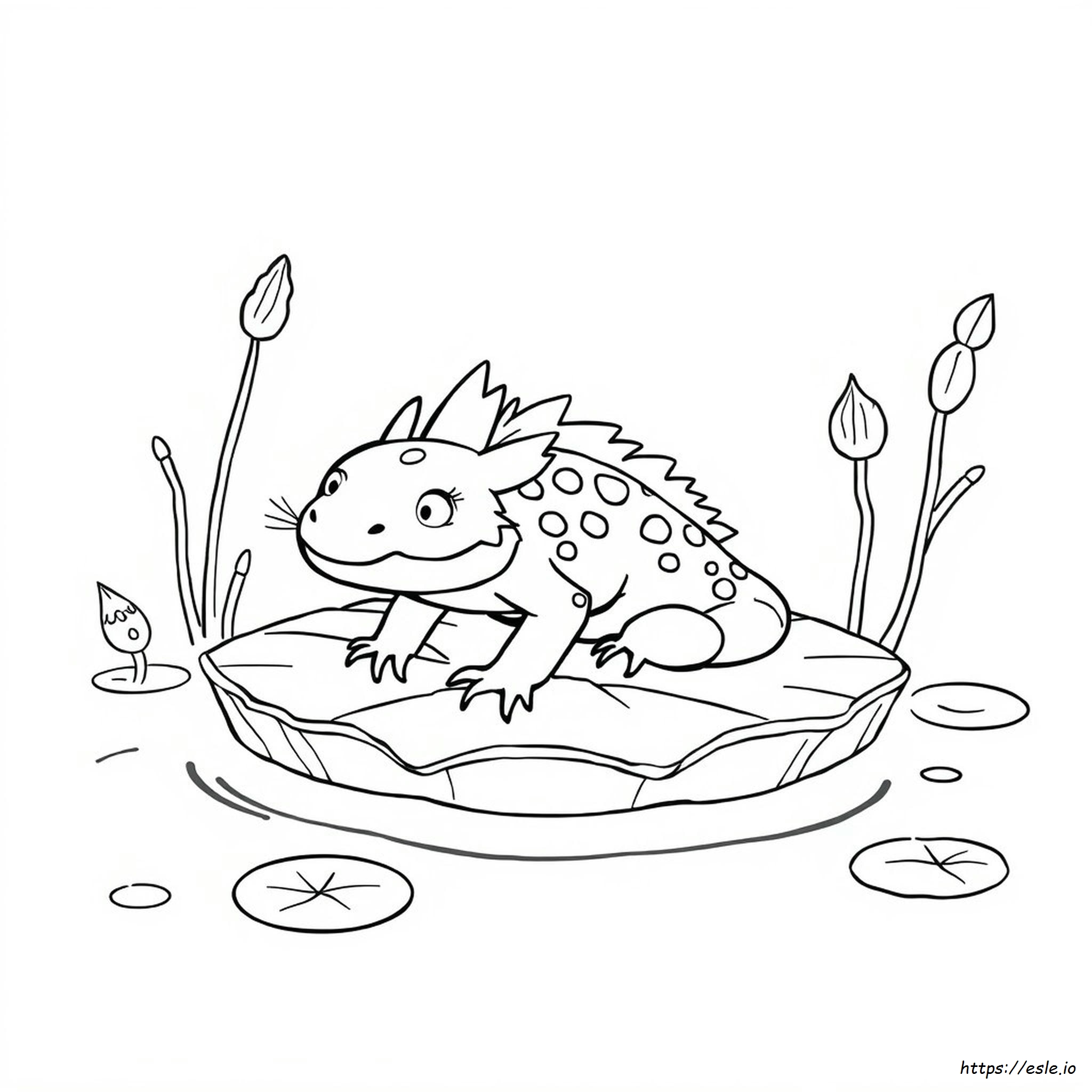 Axolotl Da Colorare Da Stampare