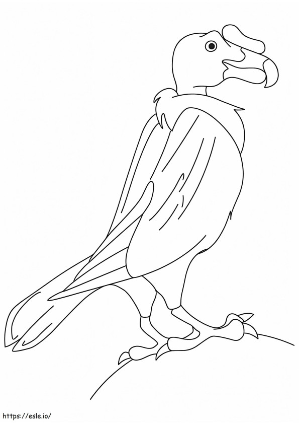 Suloinen Condor värityskuva