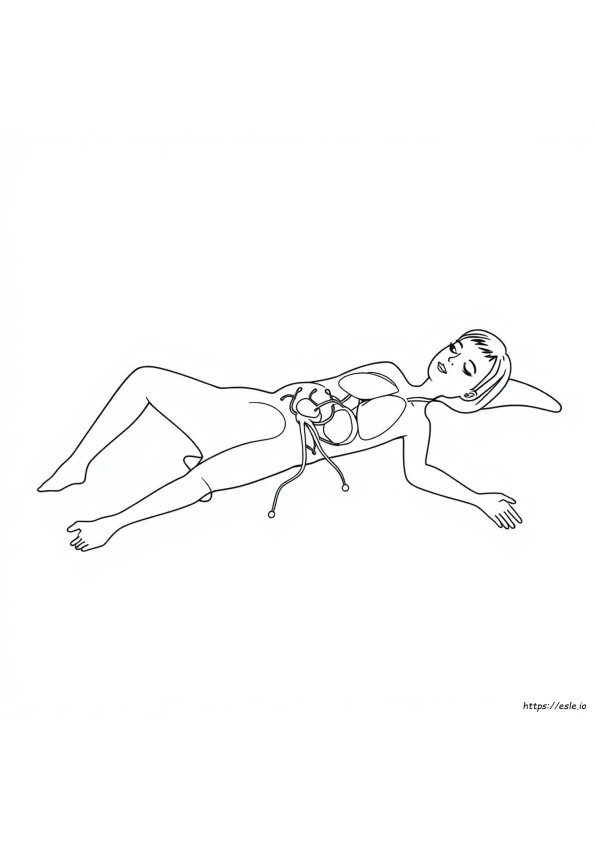 Lymphatic System Coloring Page