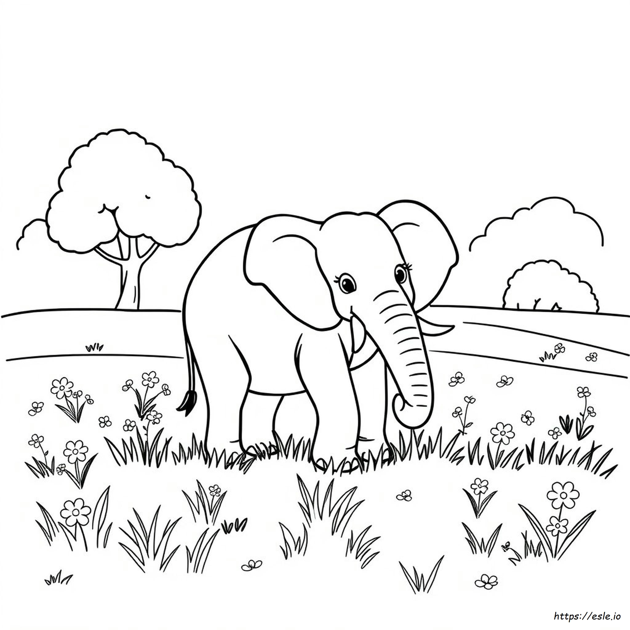 Elephant Colouring Pictures