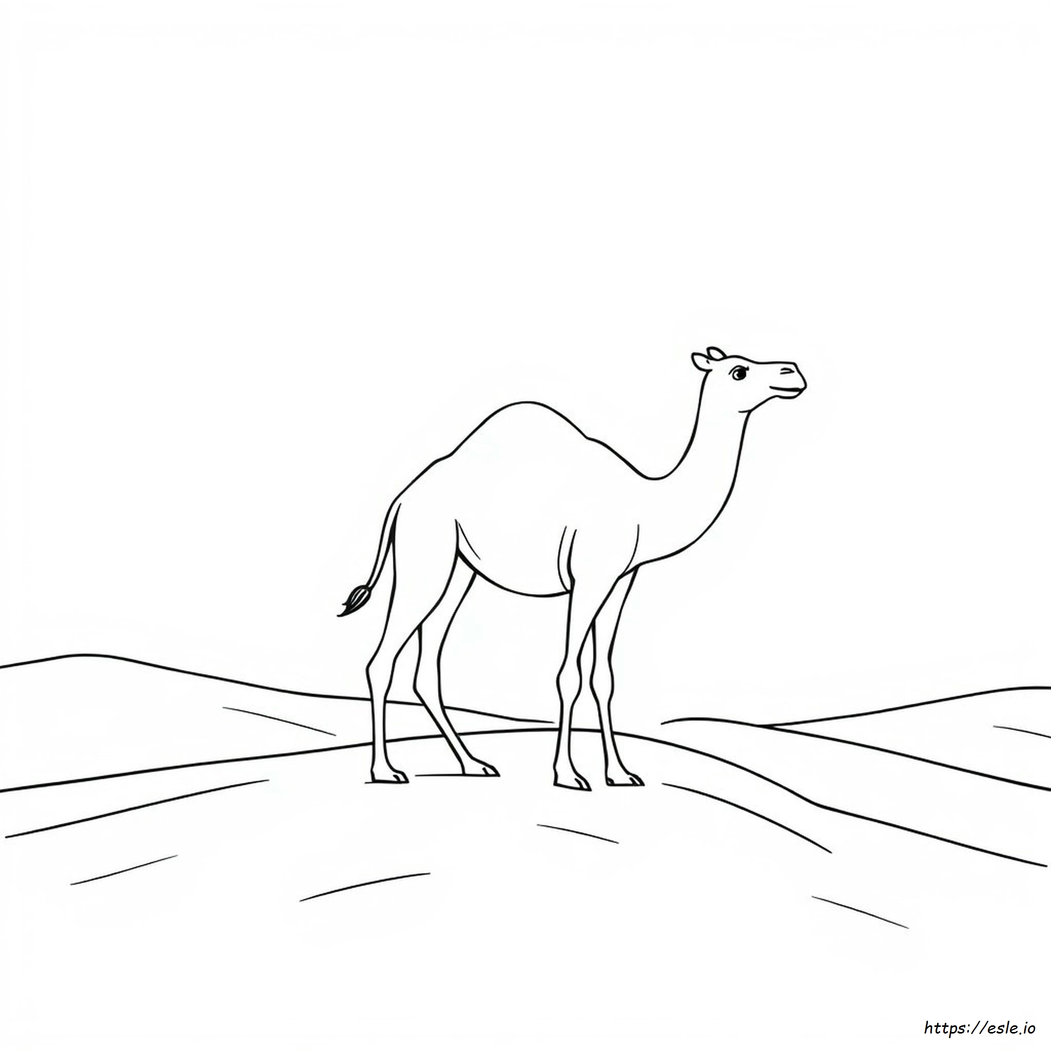 Coloring Page Of A Camel