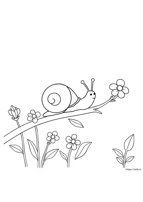 Comment Colorier Un Escargot
