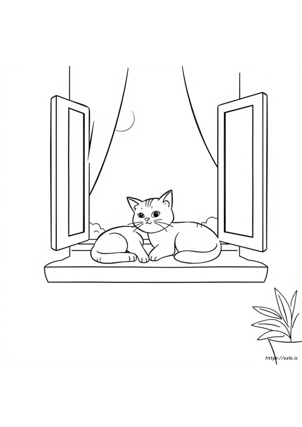 Boyama Sayfaları Kedi