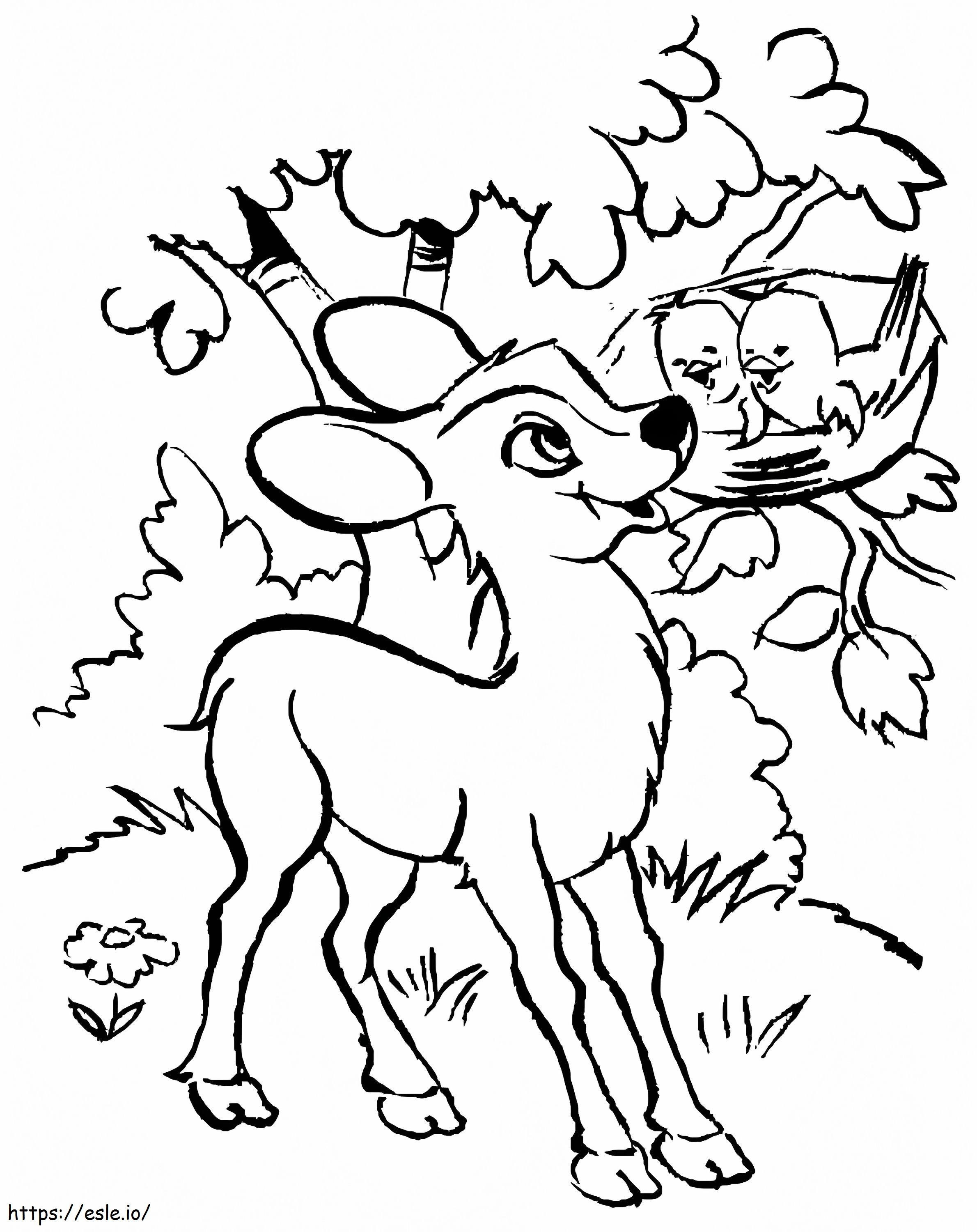 Fawn And Birds coloring page