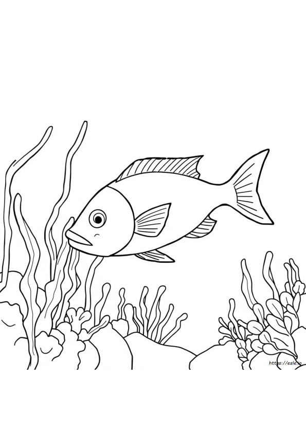 Free Printable Fish Pictures To Color