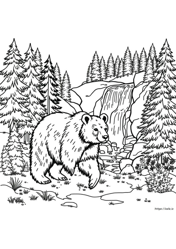 Animali Del Nord America Da Colorare