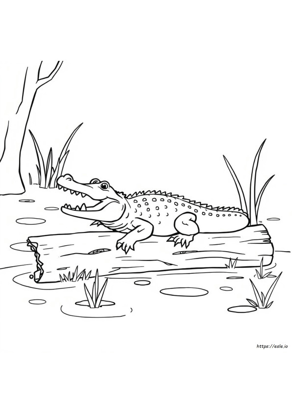 Aligator De Colorat