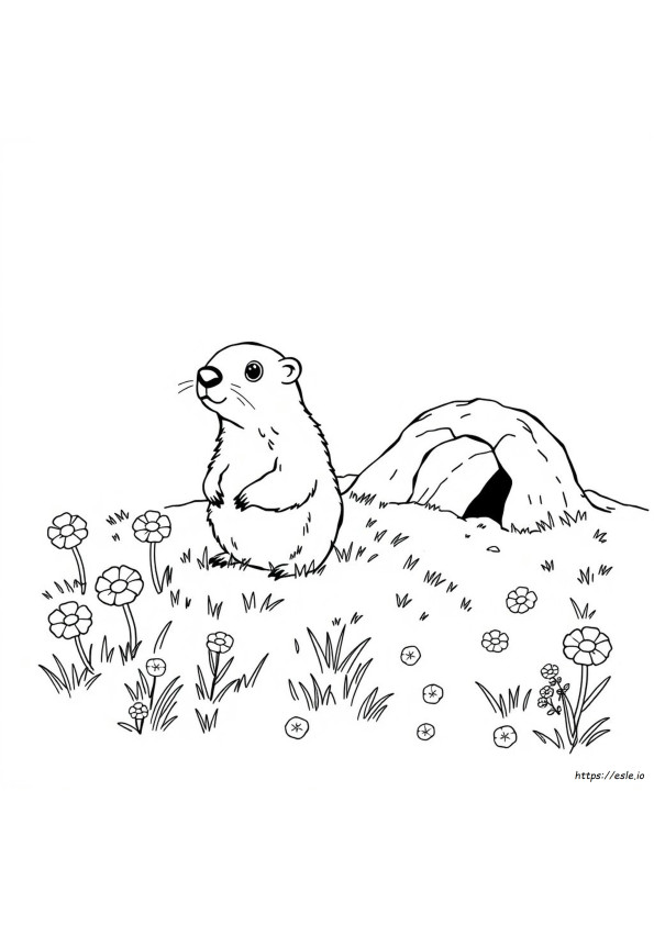 Ground Hog Coloring Page