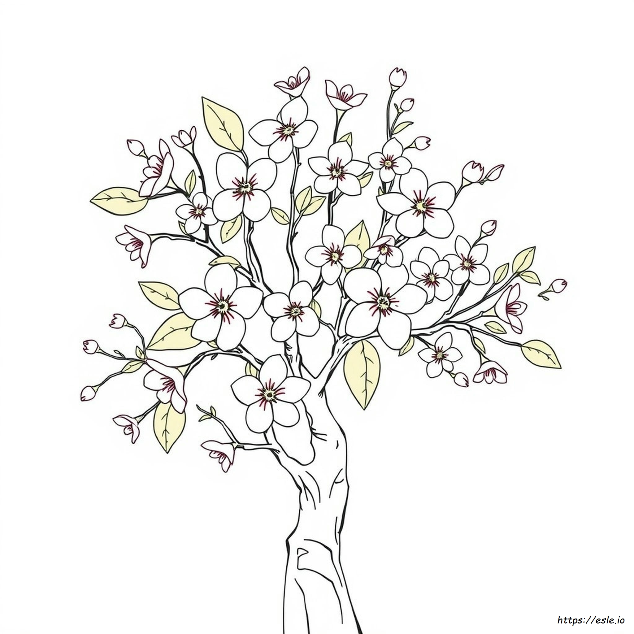 Cherry Blossom Tree Colouring Pages