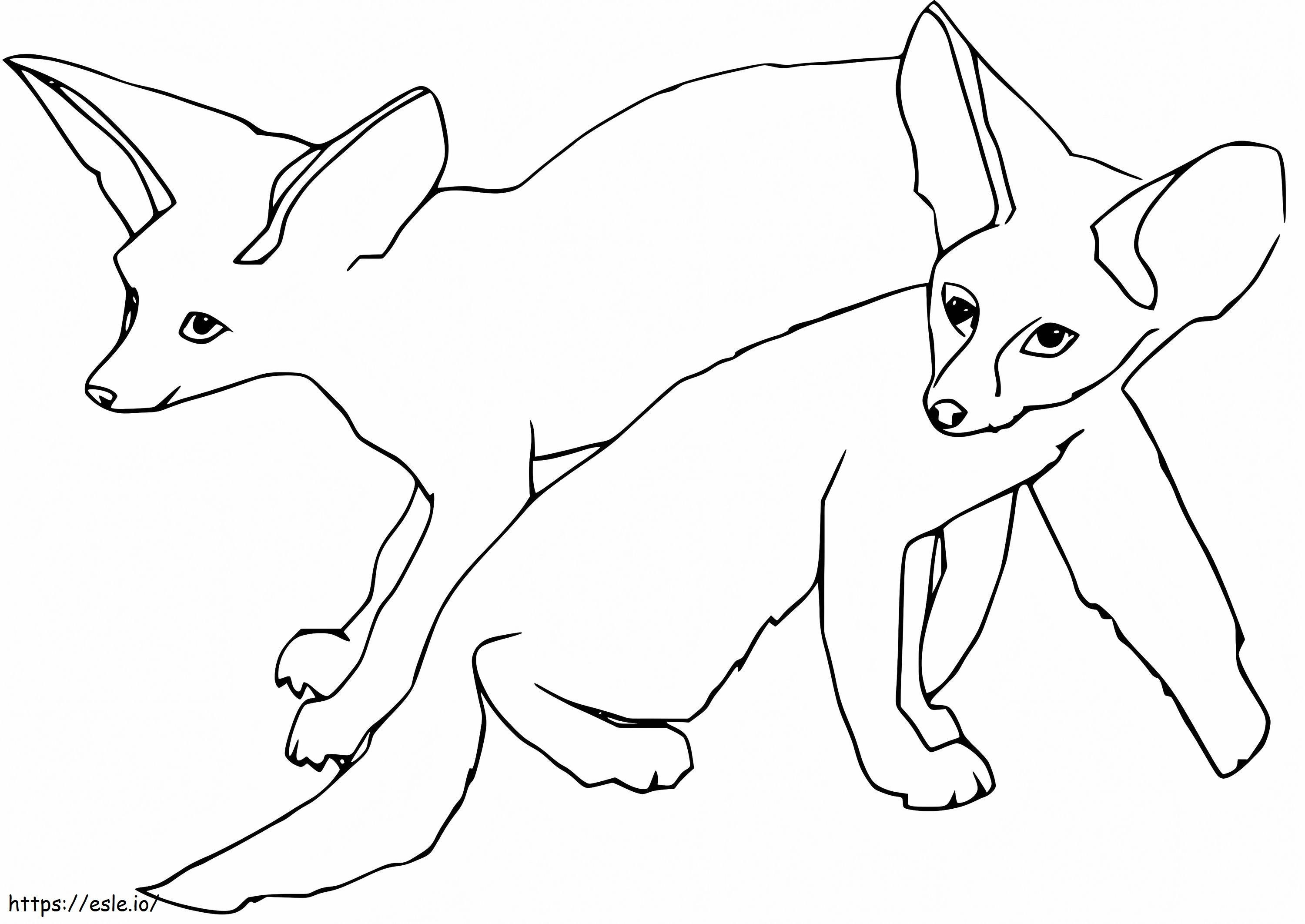 Duas raposas Fennec para colorir