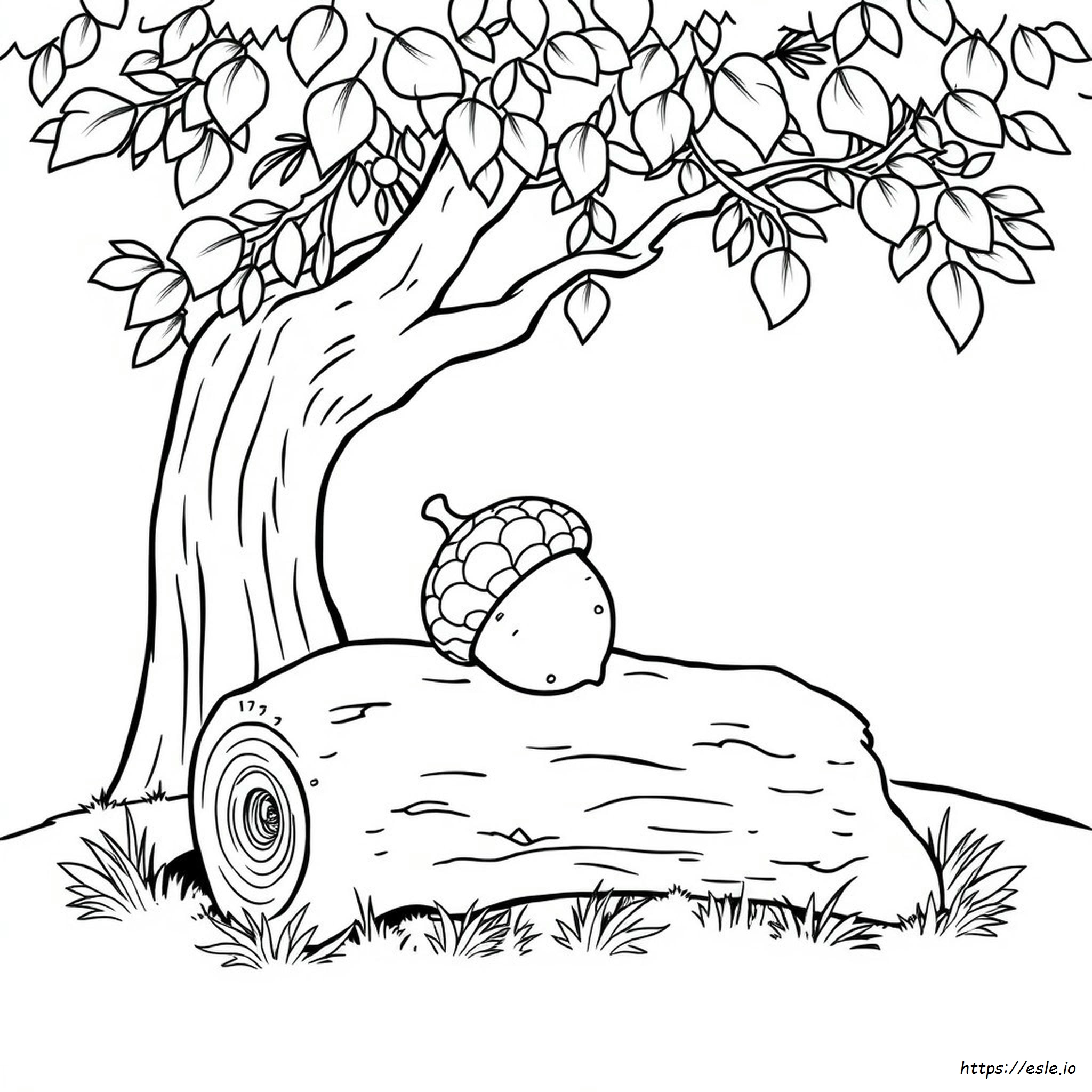 Acorn Coloring Pages To Print