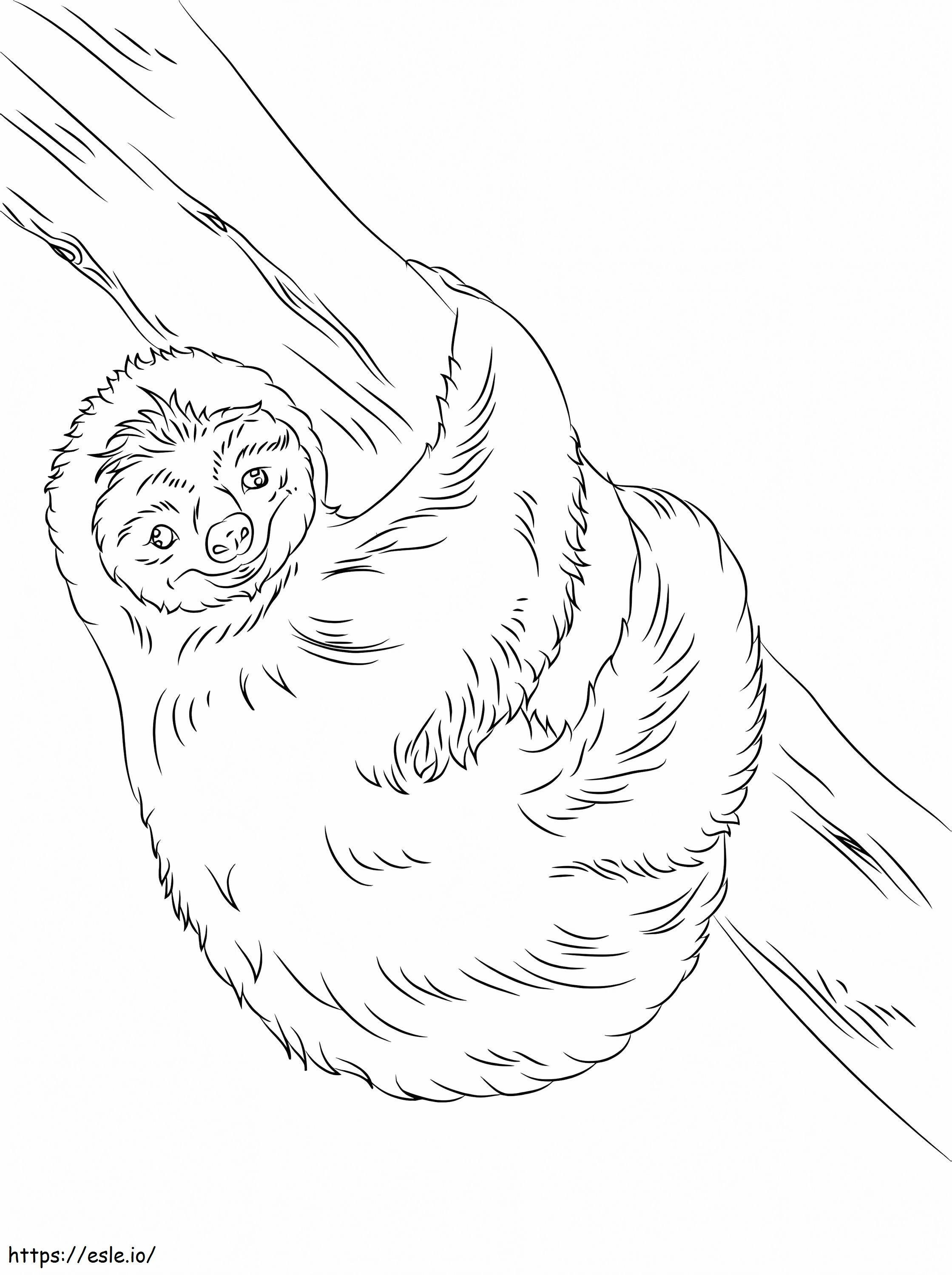 Hppy Sloth coloring page