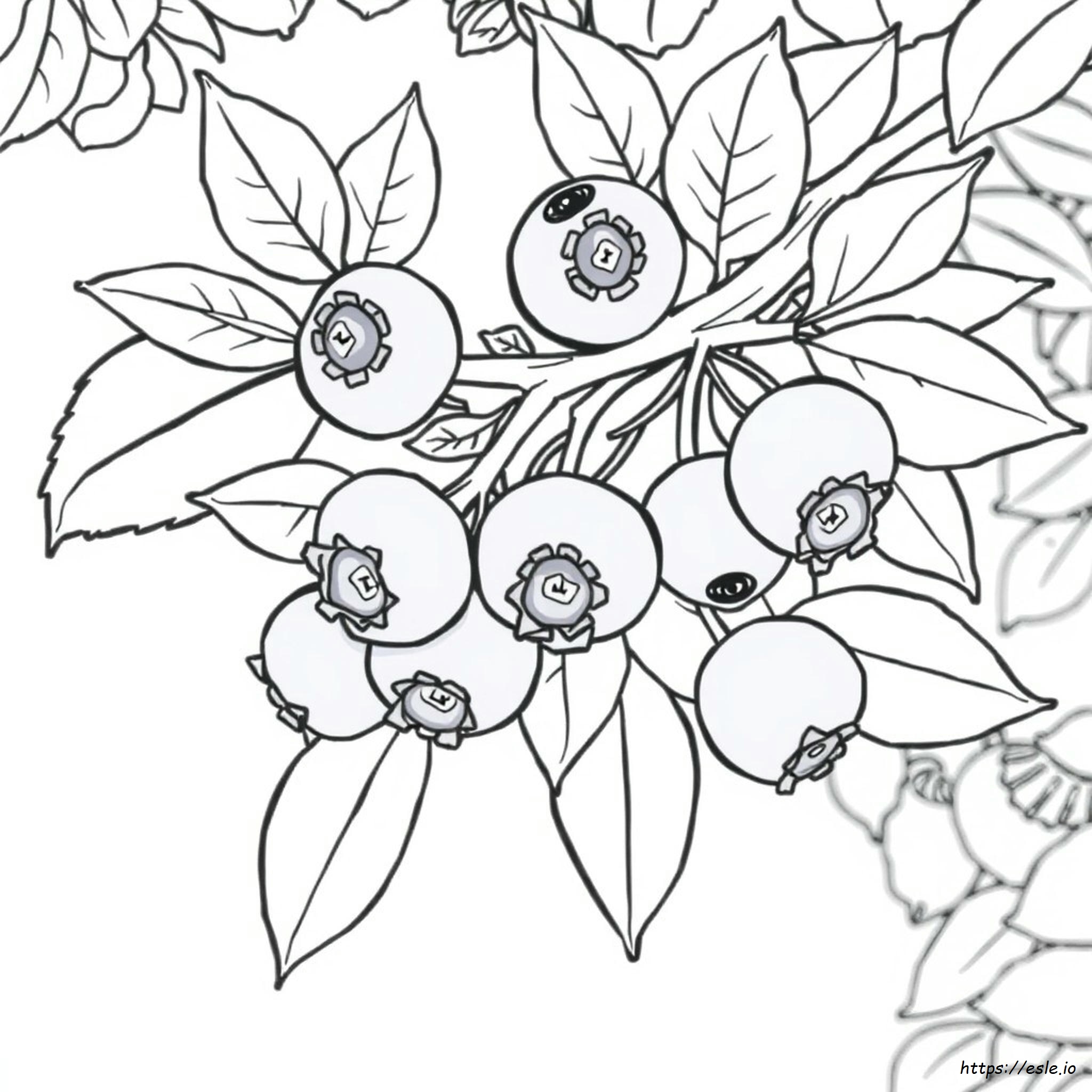 Printable Blueberry Coloring Page