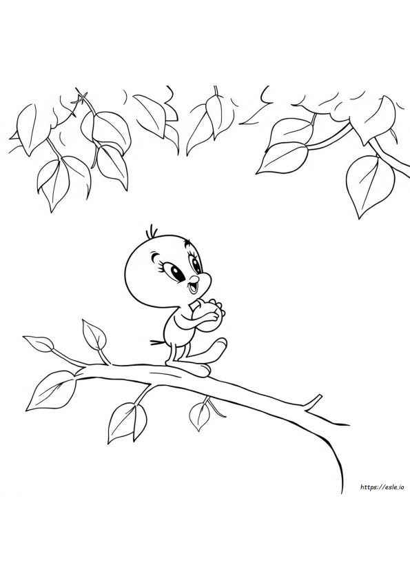 Tweety Bird Pictures Coloring Pages
