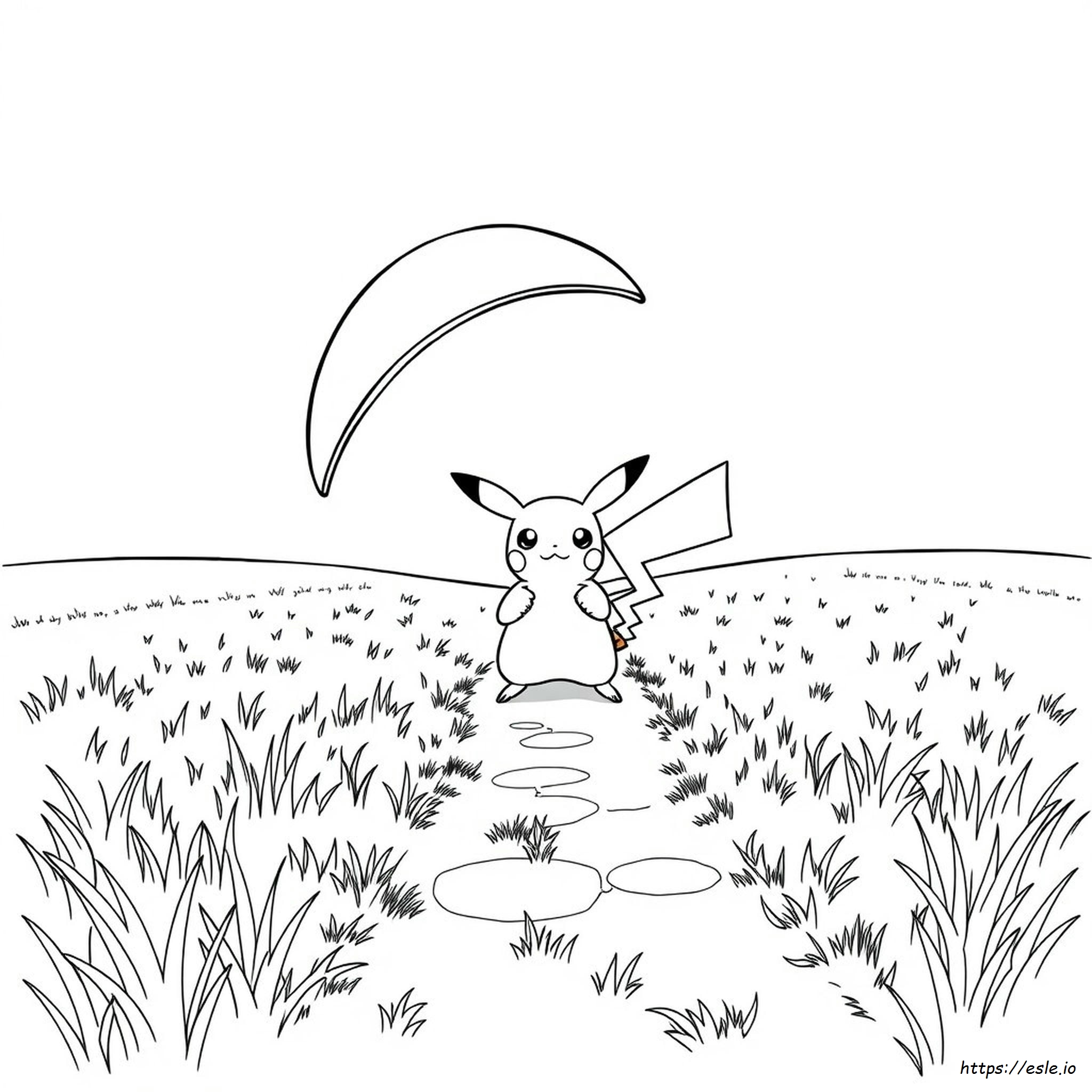 Pokemon Coloring Adventures