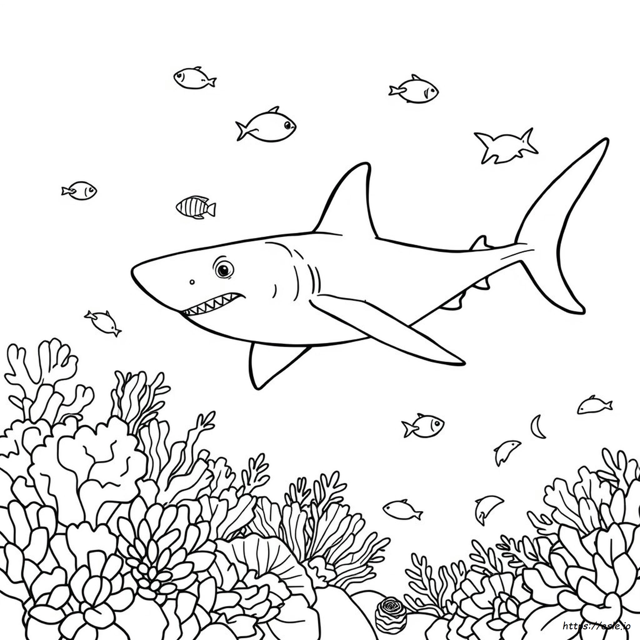 Shark Coloring Pages Printable Pdf