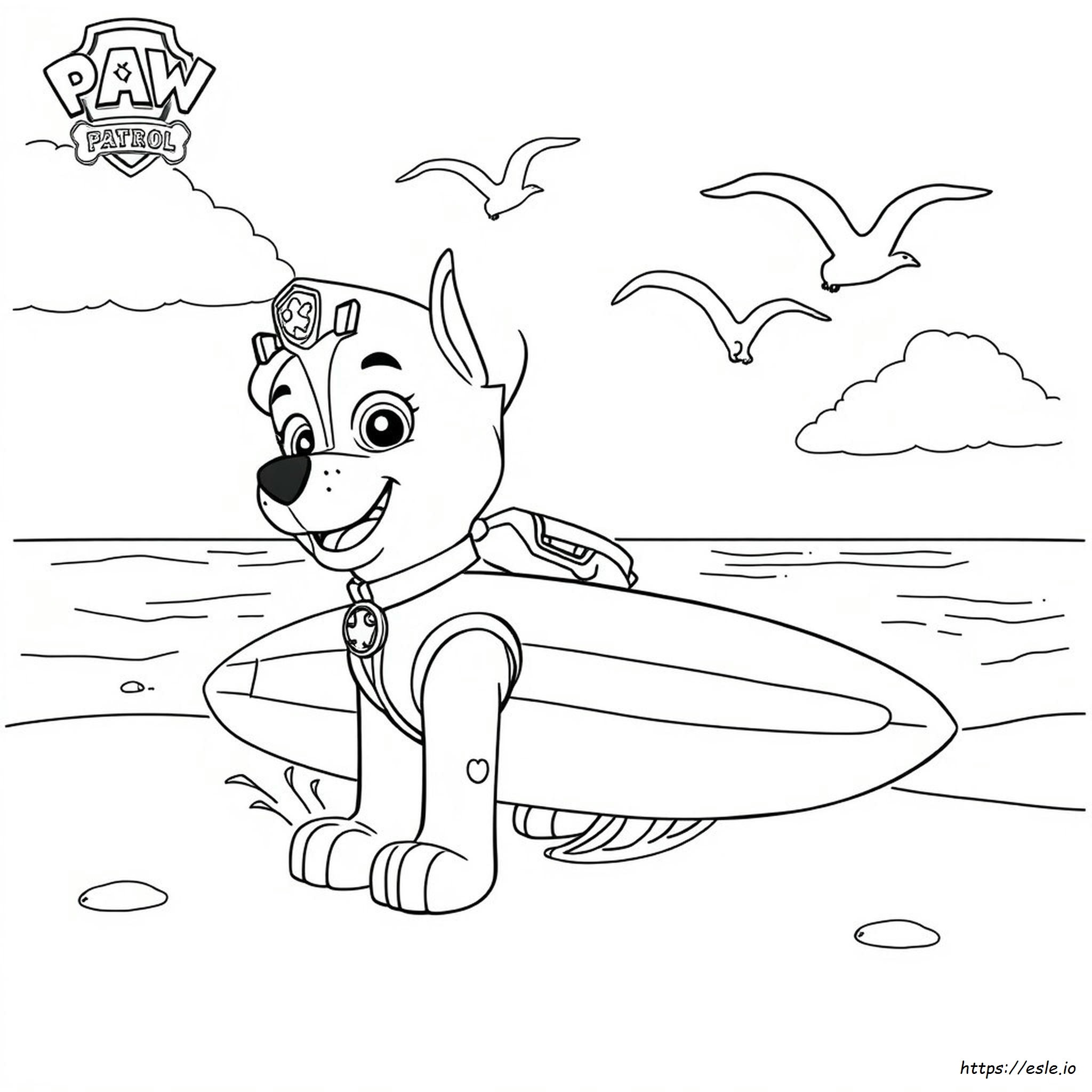Paw Patrol Zuma Coloring