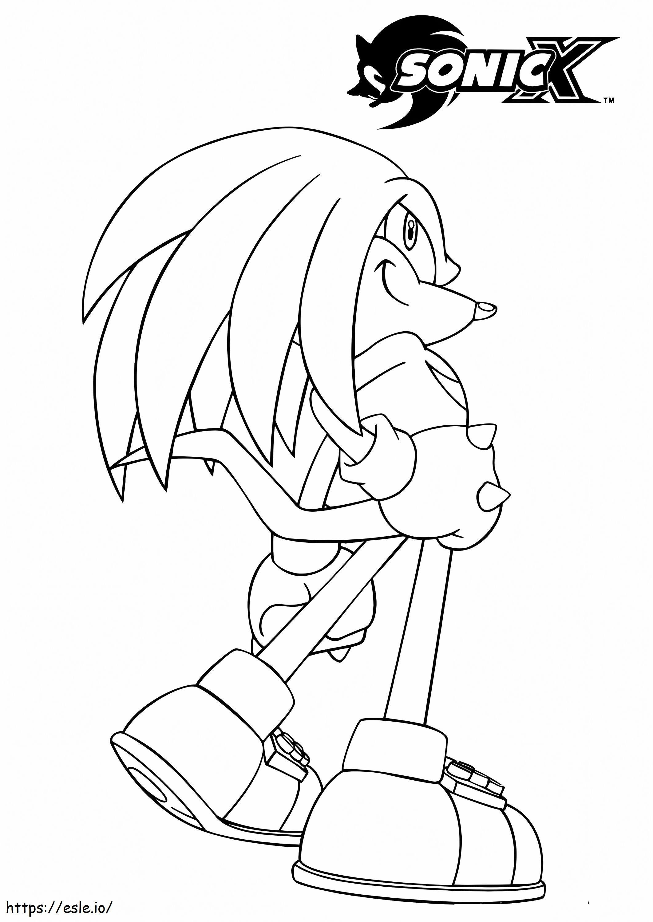 Sonic X Knuckles The Echidna värityskuva