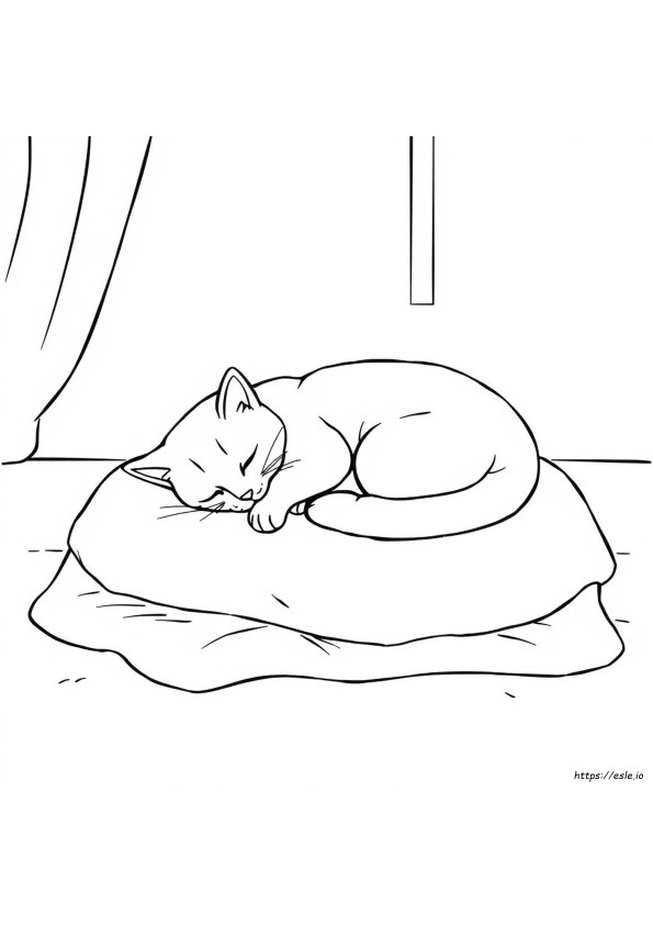 Slapende Kat Kleurplaat