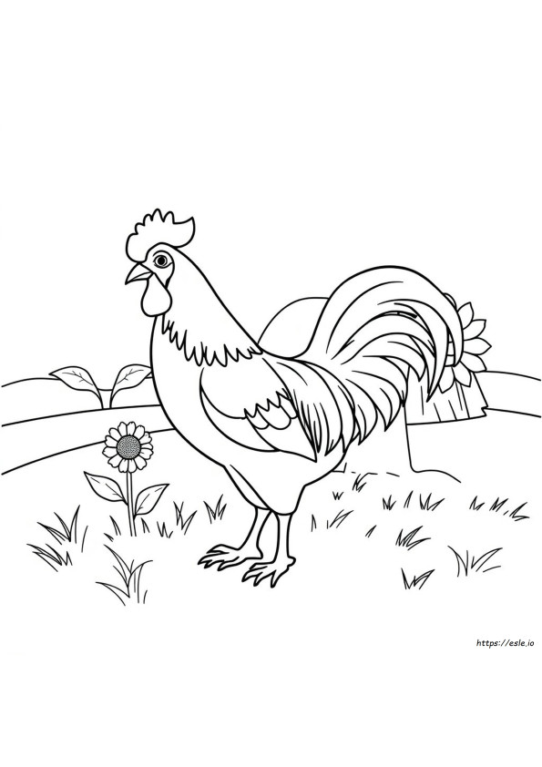 Dibujo Para Colorear De Un Gallo
