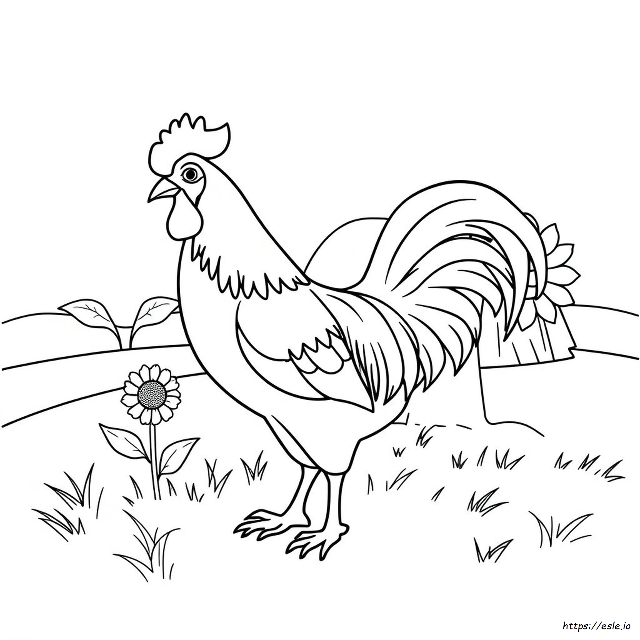 Gallo Da Colorare