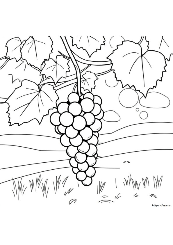 How To Colour Grapes