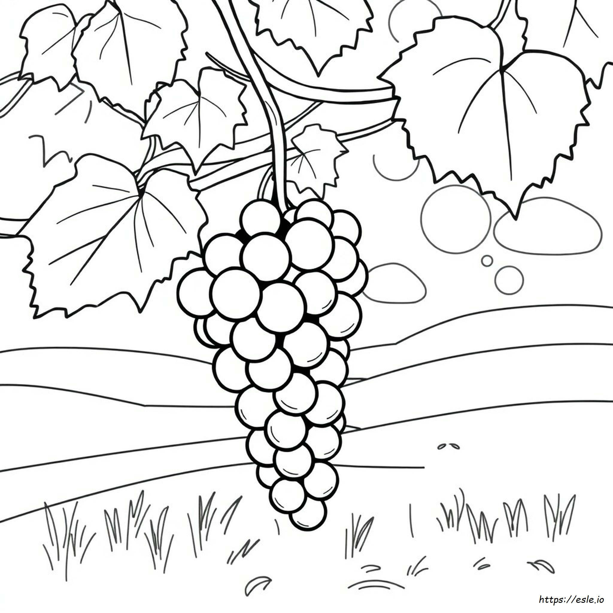 How To Colour Grapes