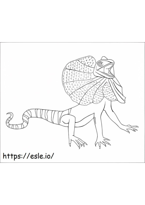 Frilled Lizard coloring page