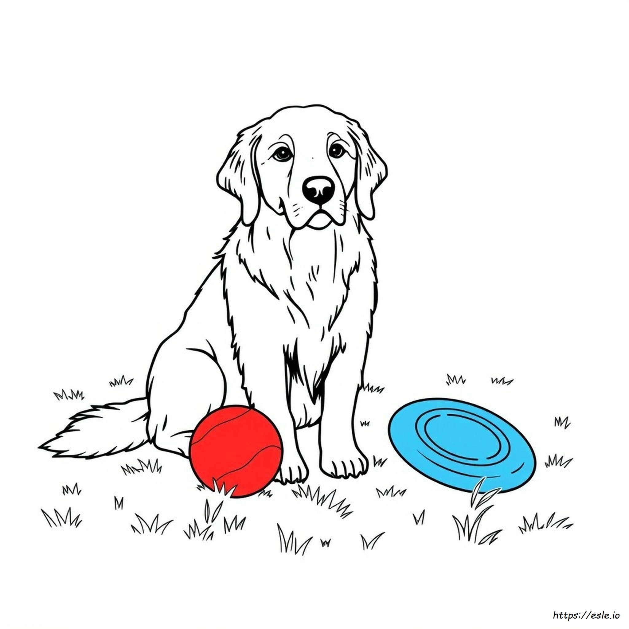 Páginas Para Colorear De Golden Retriever