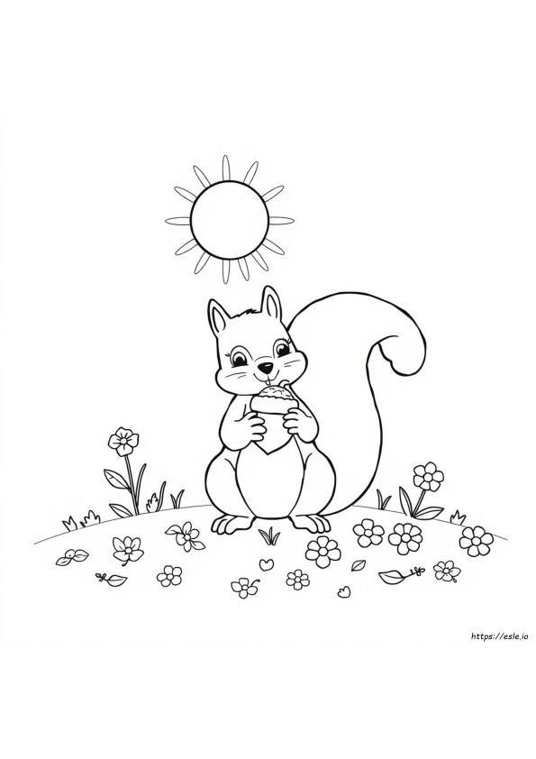 Thousand Sunny Coloring Page
