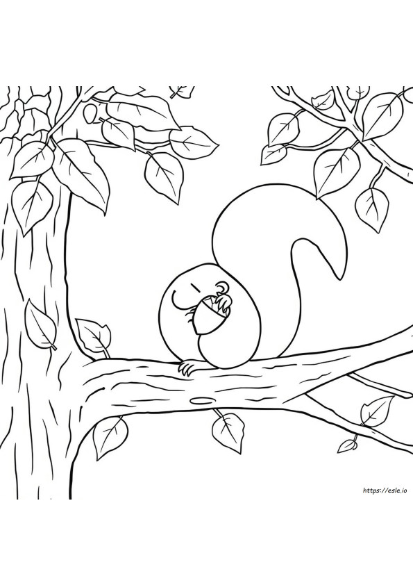 Squirrel Coloring Pages For Adults