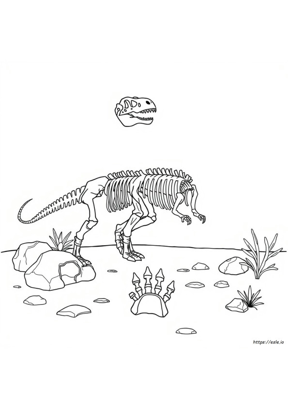 Dinosaurus Skelet Kleurplaat