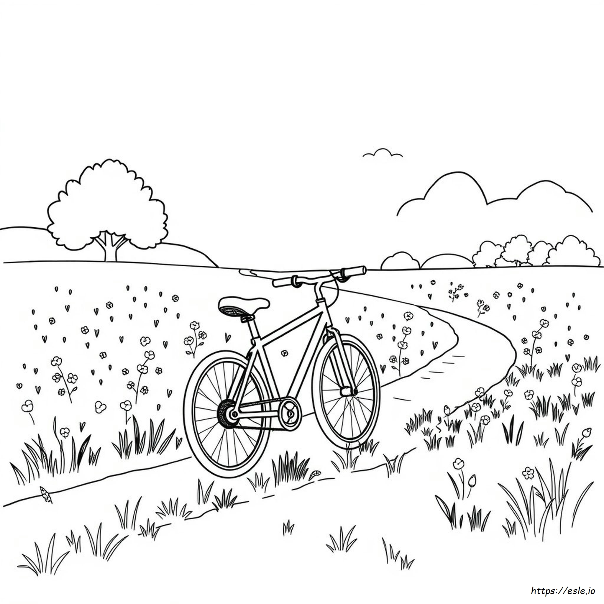Bike Coloring Price