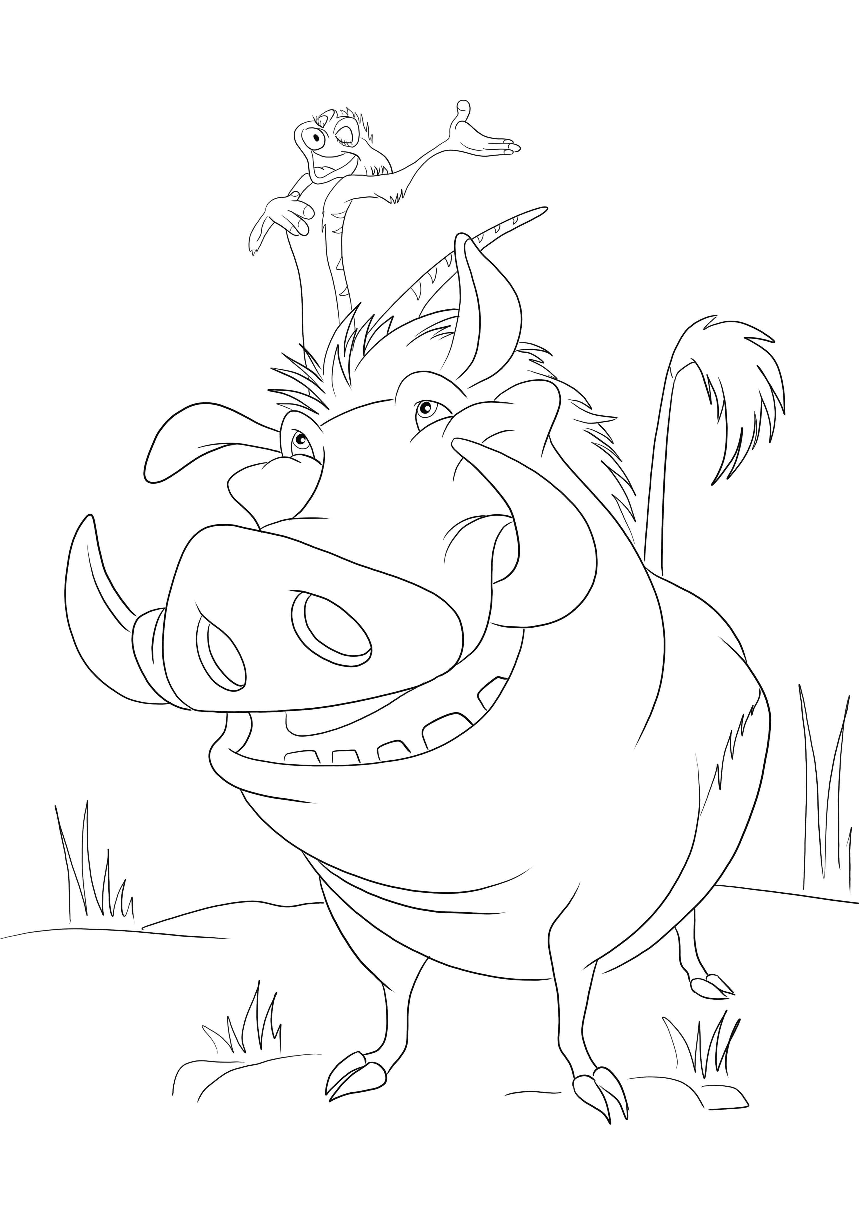 Timon en Pumbaa van Lion's King-cartoon kunnen gratis worden afgedrukt om gemakkelijk in te kleuren kleurplaat