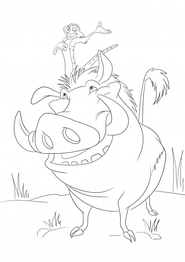 Timon și Pumbaa din desenele animate regele leului imprimabile gratuit pentru colorat ușor