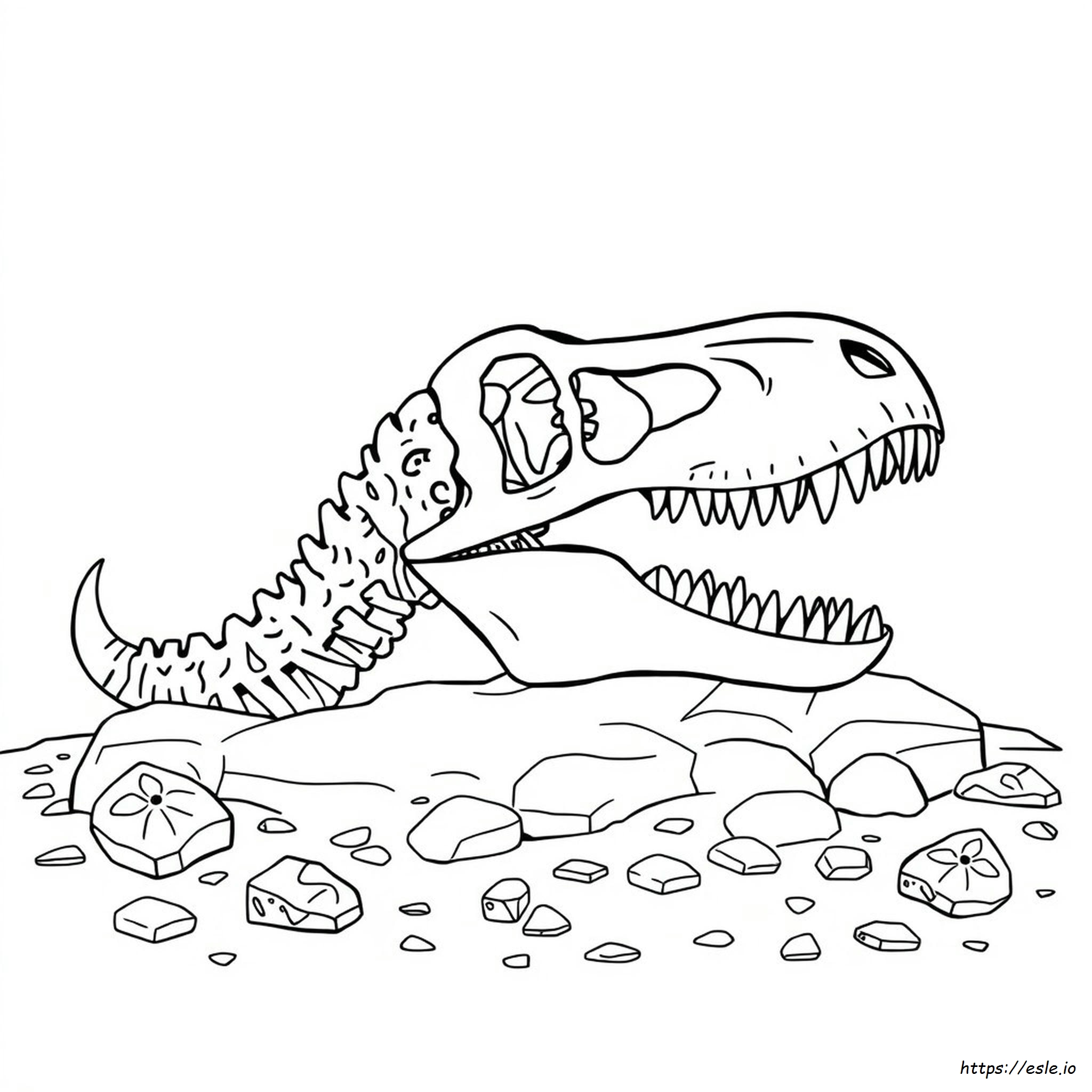 T-Rex Schädel Ausmalbilder