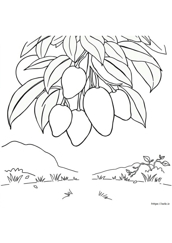 Mango Pic For Coloring