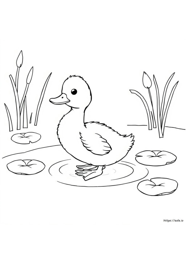 Patinho Para Colorir